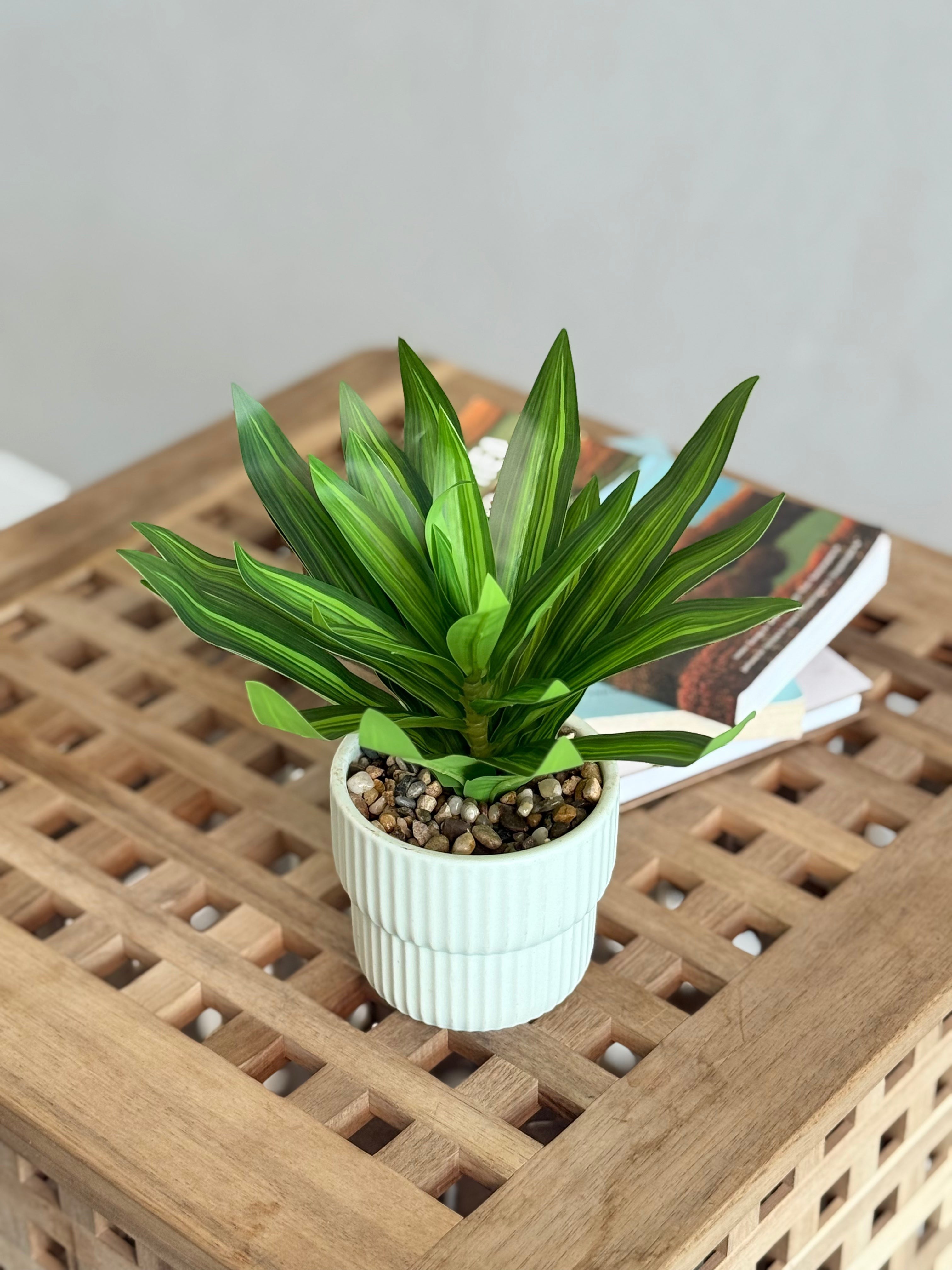 High Objects Artificial Dracaena Lemon Lime Plant with striped green leaves in a white ribbed ceramic pot with pebbles.