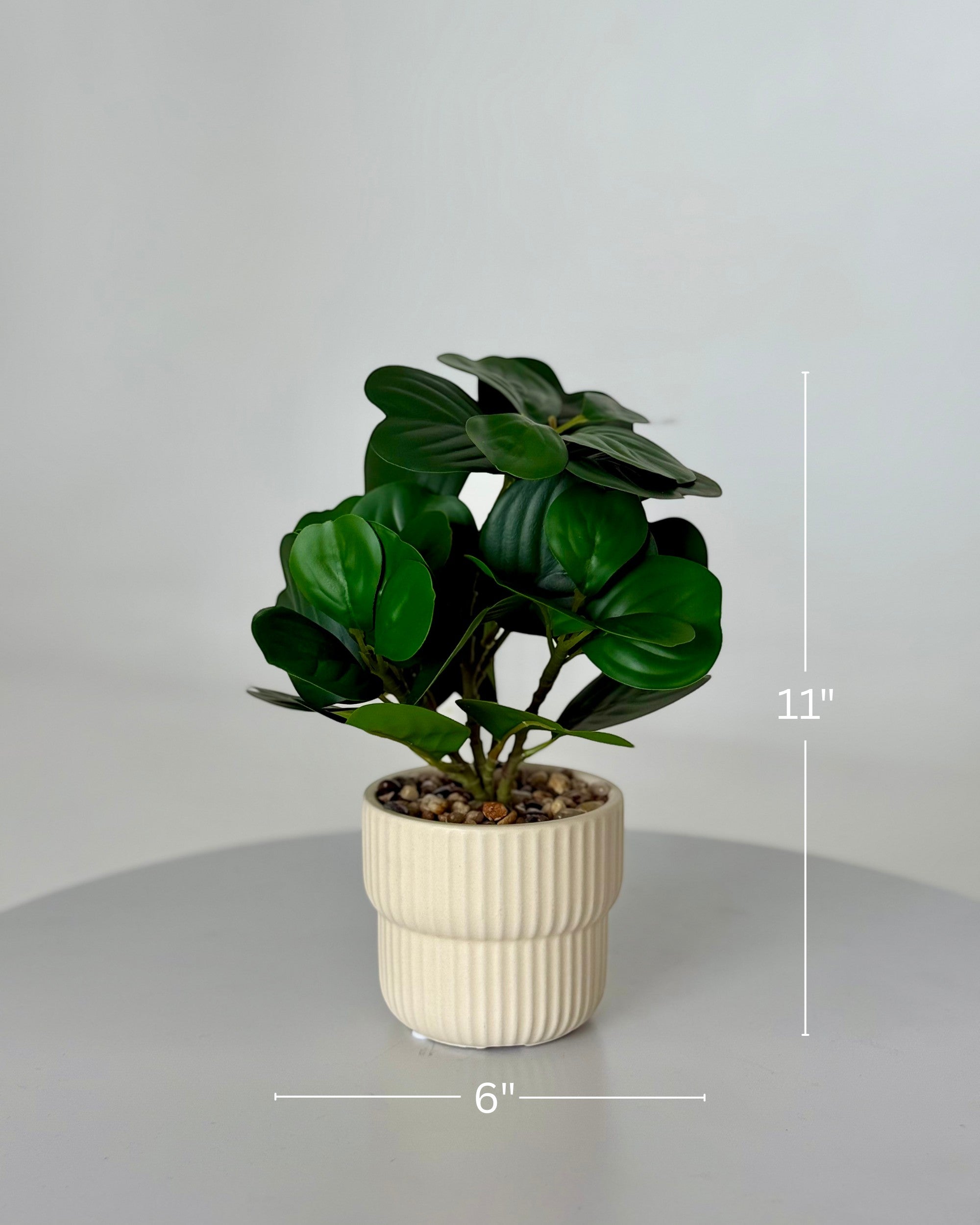 High Objects Artificial Ficus Lyrata plant with lush green leaves in a ribbed cream planter with pebble top. 11" H x 6" W.