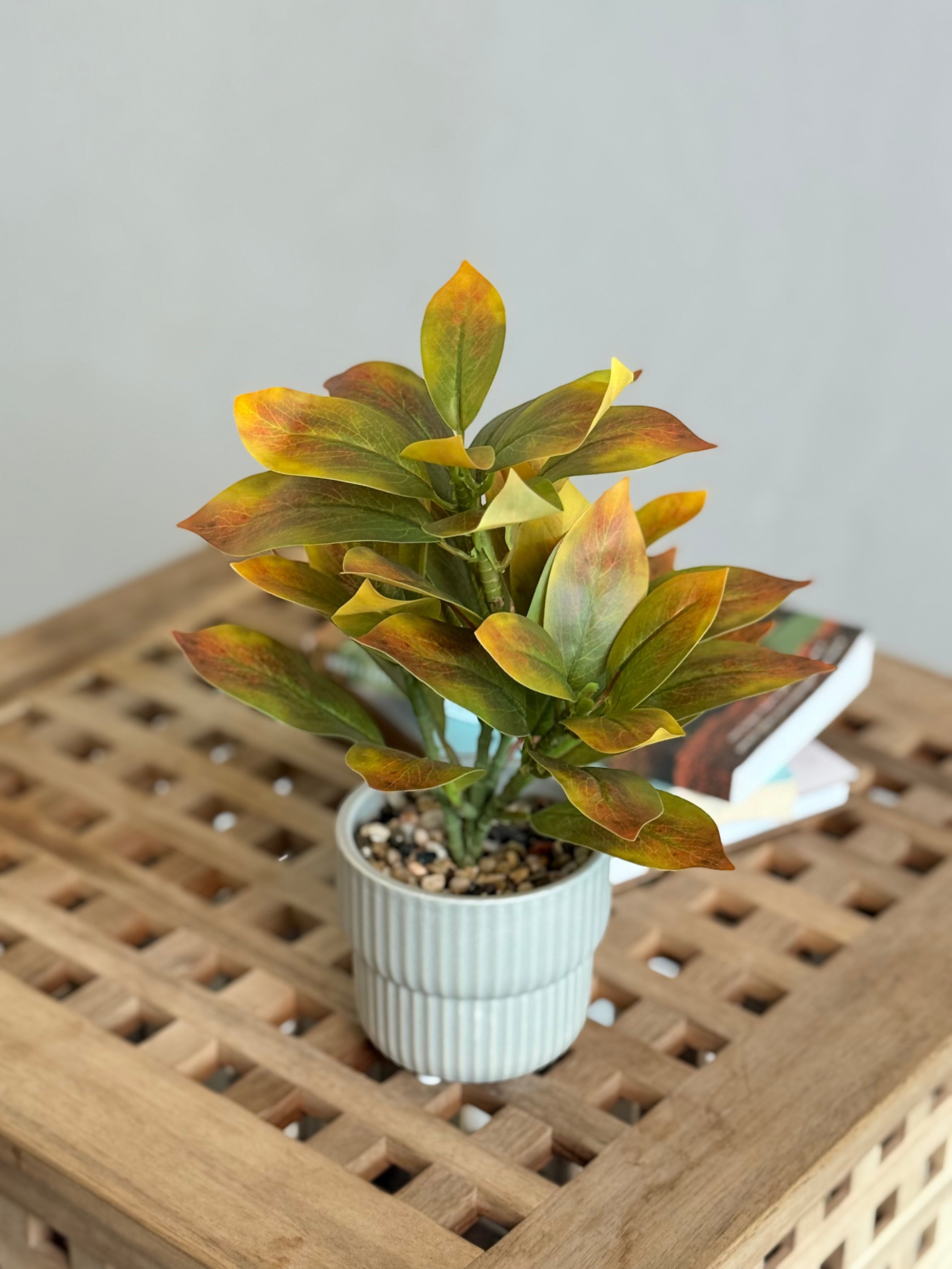 High Objects Artificial Ficus Lyrata Sunset Leaf Plant with gradient orange and green leaves in a ribbed grey pot with pebbles.