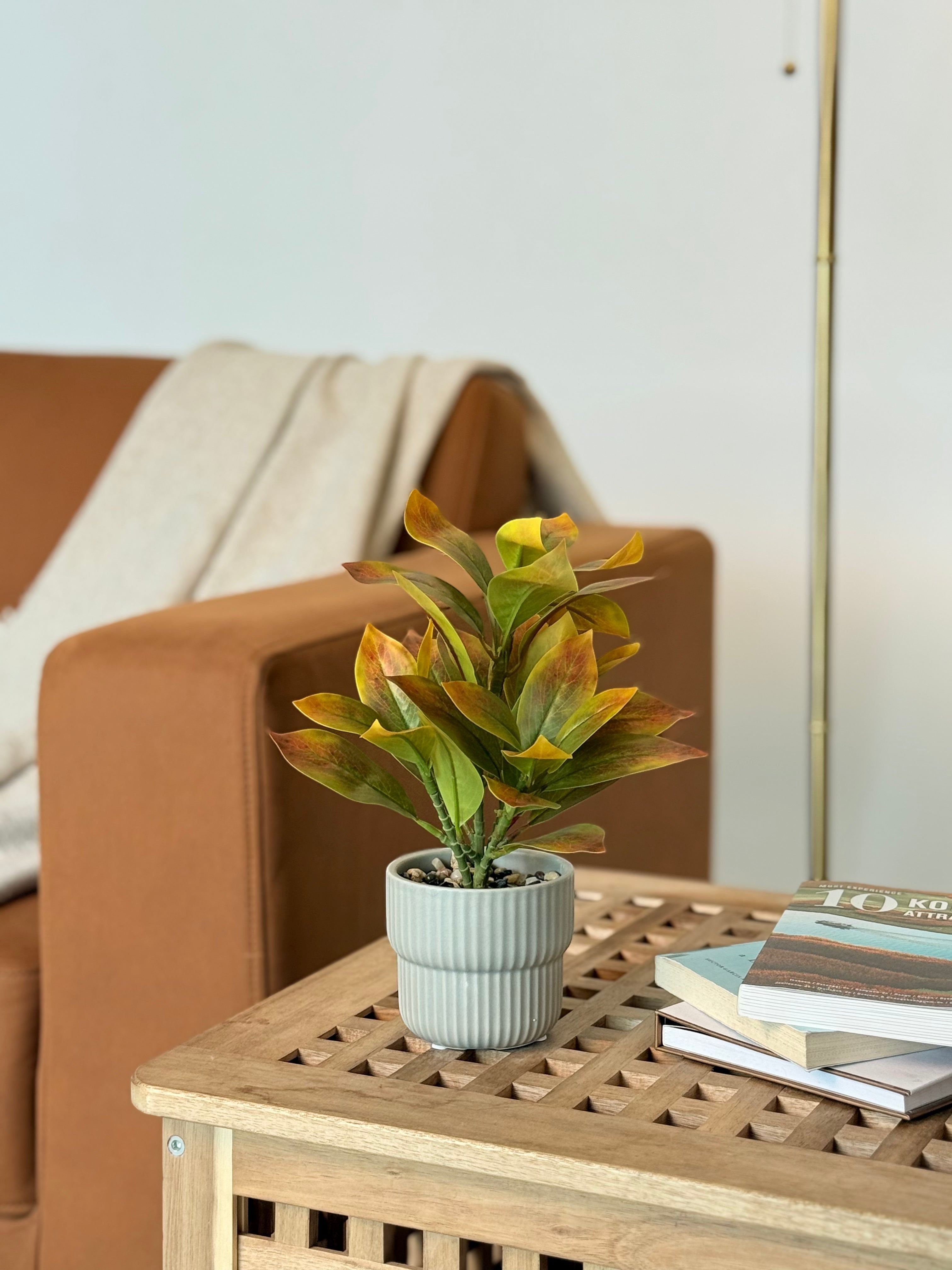 High Objects Artificial Ficus Lyrata Sunset Leaf Plant with gradient orange and green leaves in a grey pot with pebbles.