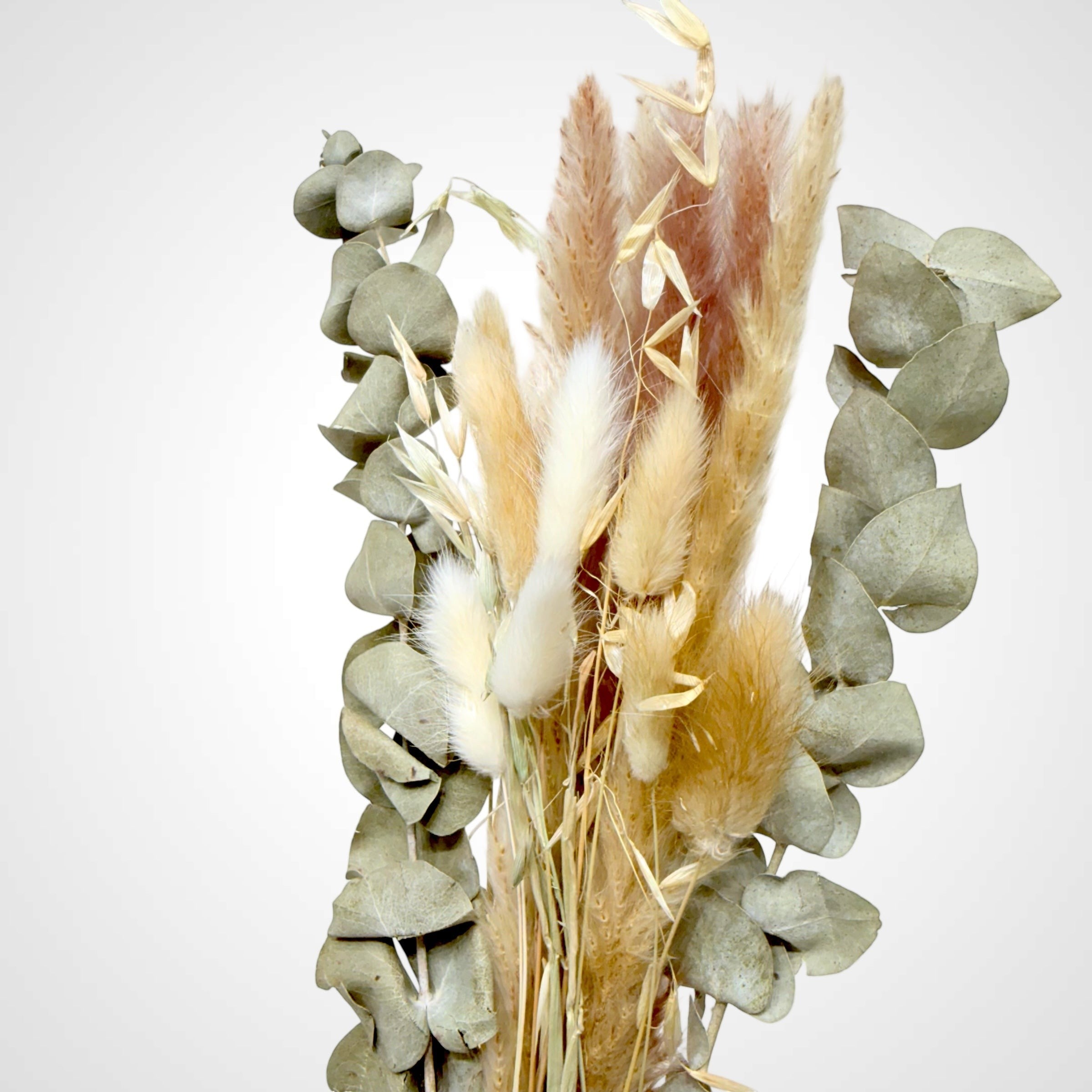 High Objects Botanical Eucalyptus Harvest dried flower arrangement with pampas grass, bunny tails, and eucalyptus in neutral tones.