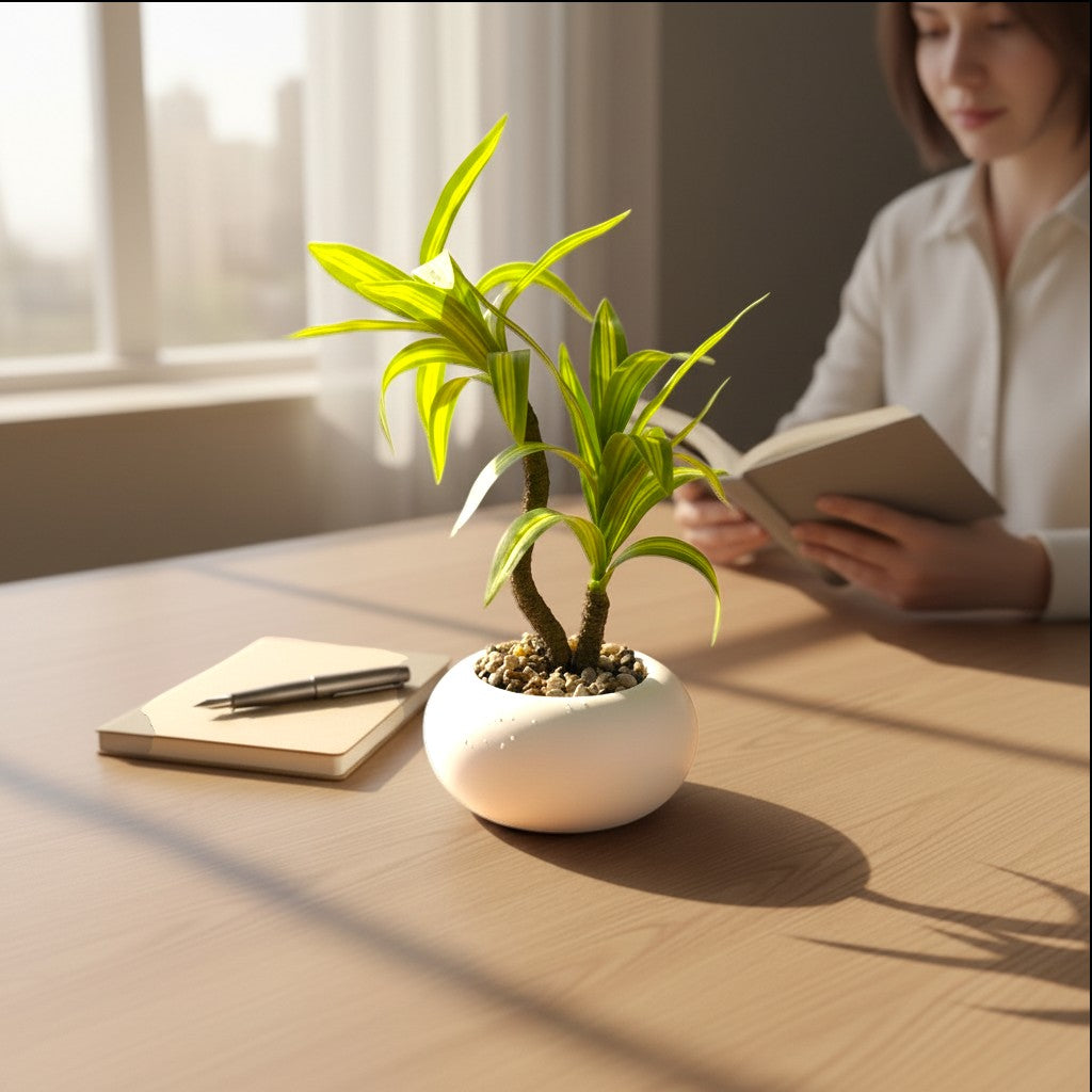 High Objects white ceramic pot with a small green and yellow striped plant, on a wooden desk next to a notebook and pen.