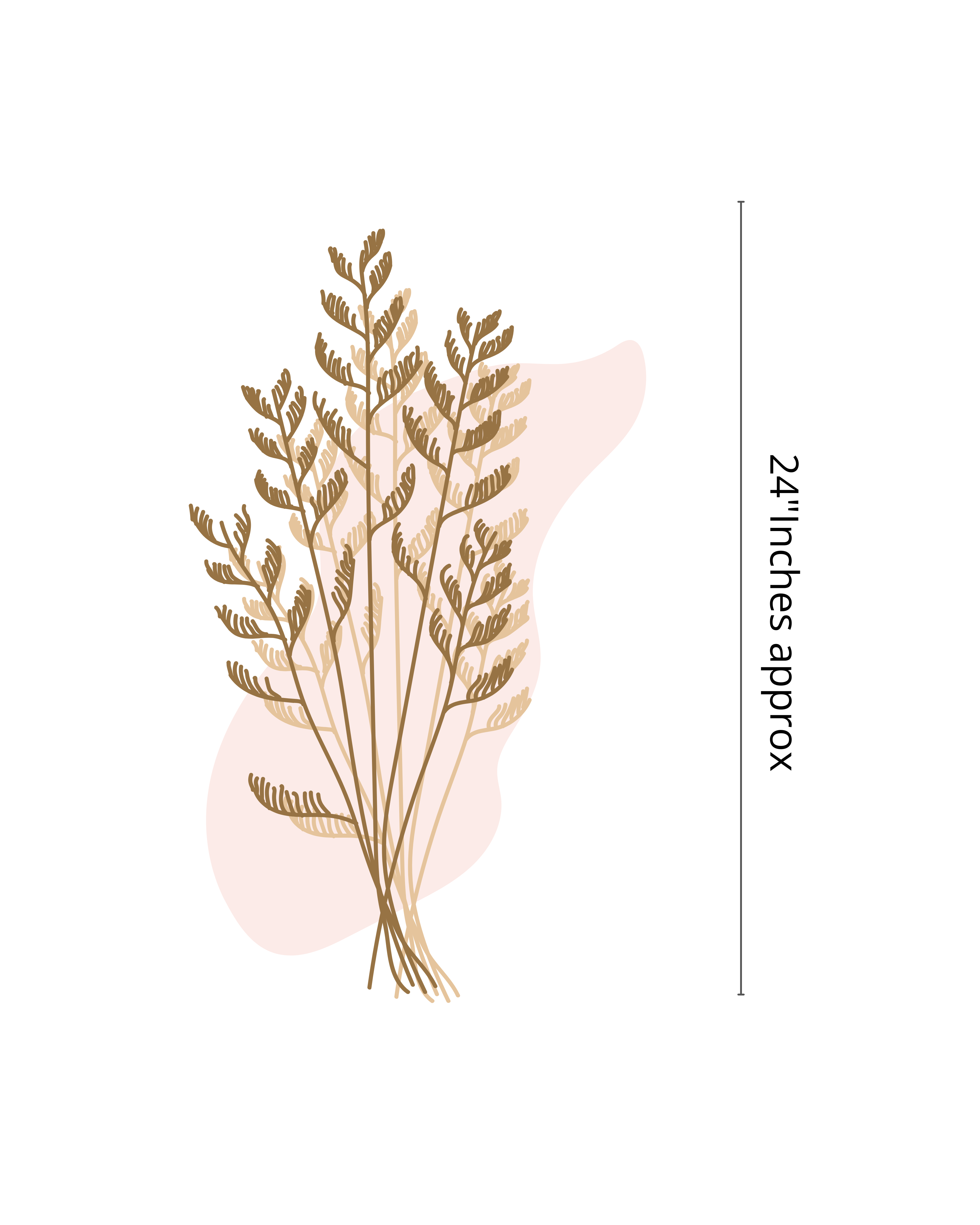 Solea Form – Dried Botanical Object