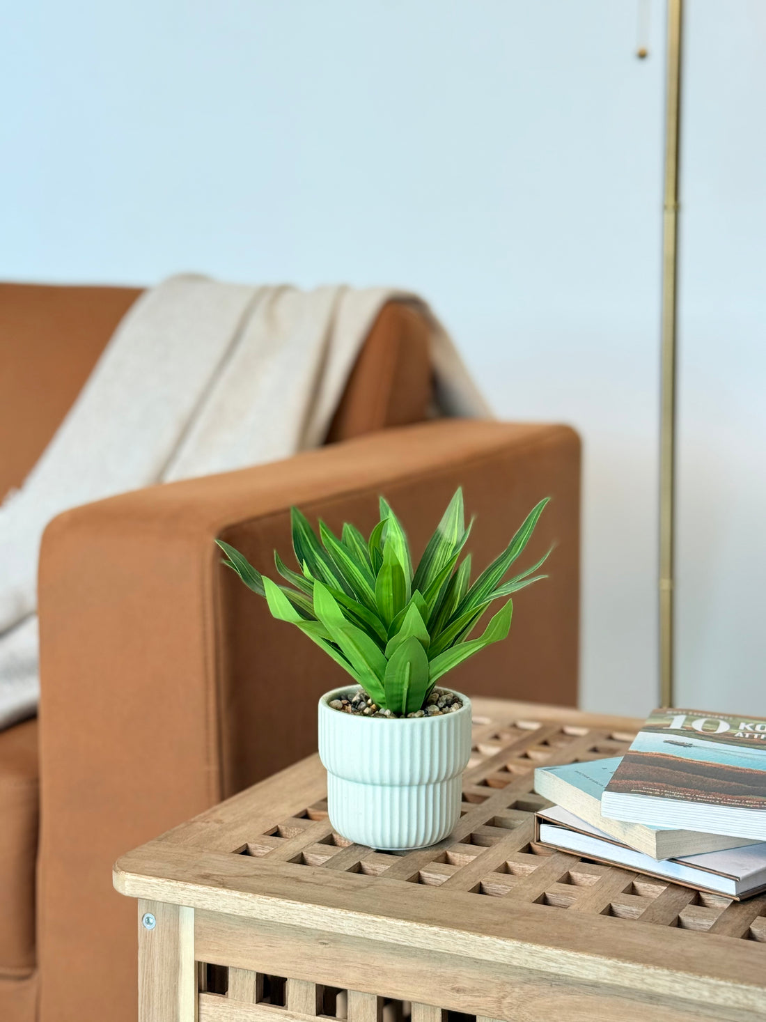 Artificial Dracaena Lemon Lime Plant