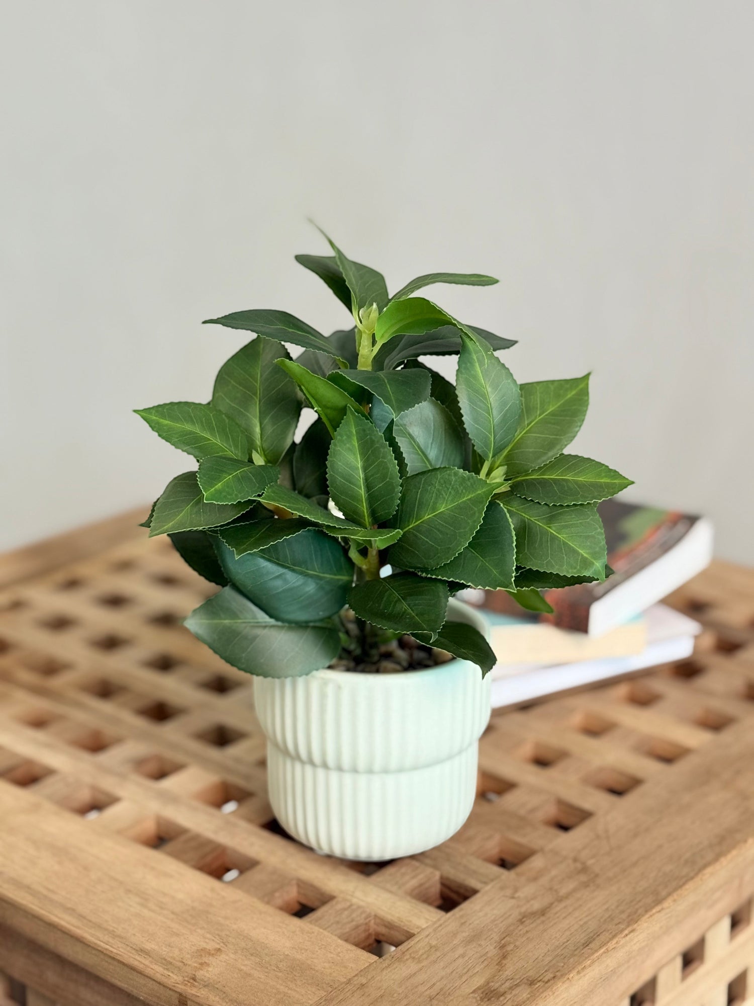 High Objects Artificial Camellia Leaf Plant in a white ribbed ceramic pot with pebbles, featuring glossy dark green leaves.