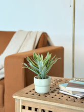 High Objects Artificial Dracaena Lemon Lime Plant in a ribbed white ceramic pot with decorative pebbles.