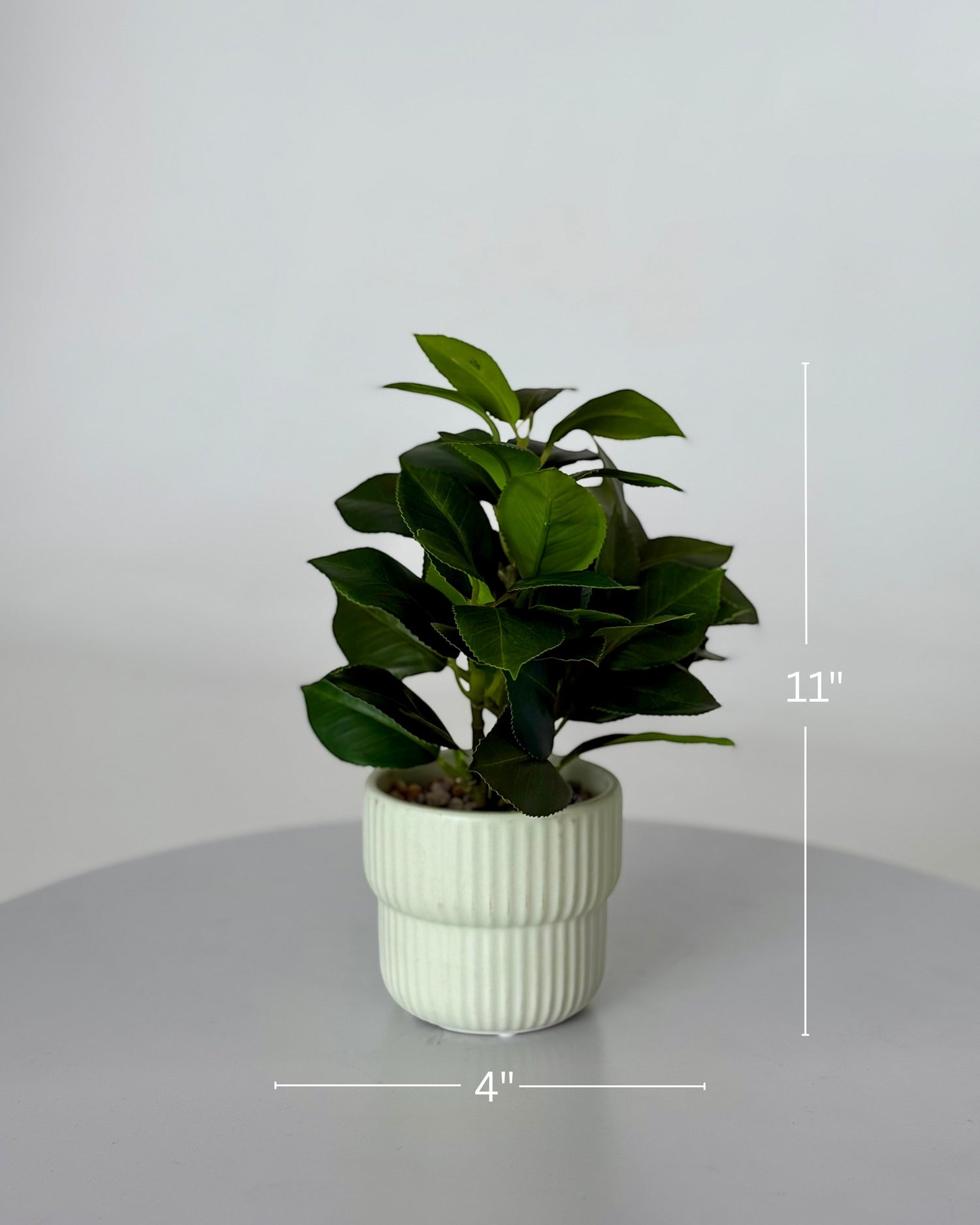 High Objects Artificial Classic Dracaena Leaf Plant with green foliage in a ribbed ceramic pot.