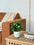 High Objects Artificial Classic Dracaena Leaf Plant in a ribbed ceramic pot with decorative pebbles. Green foliage with light green stripes.