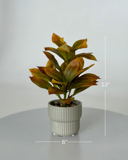 High Objects Artificial Ficus Lyrata Sunset Leaf Plant with gradient orange and green leaves in a ribbed grey pot with pebbles.