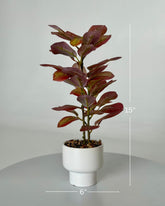 High Objects Artificial Autumn Blaze Ficus Plant with red and green leaves in a white ceramic pot.