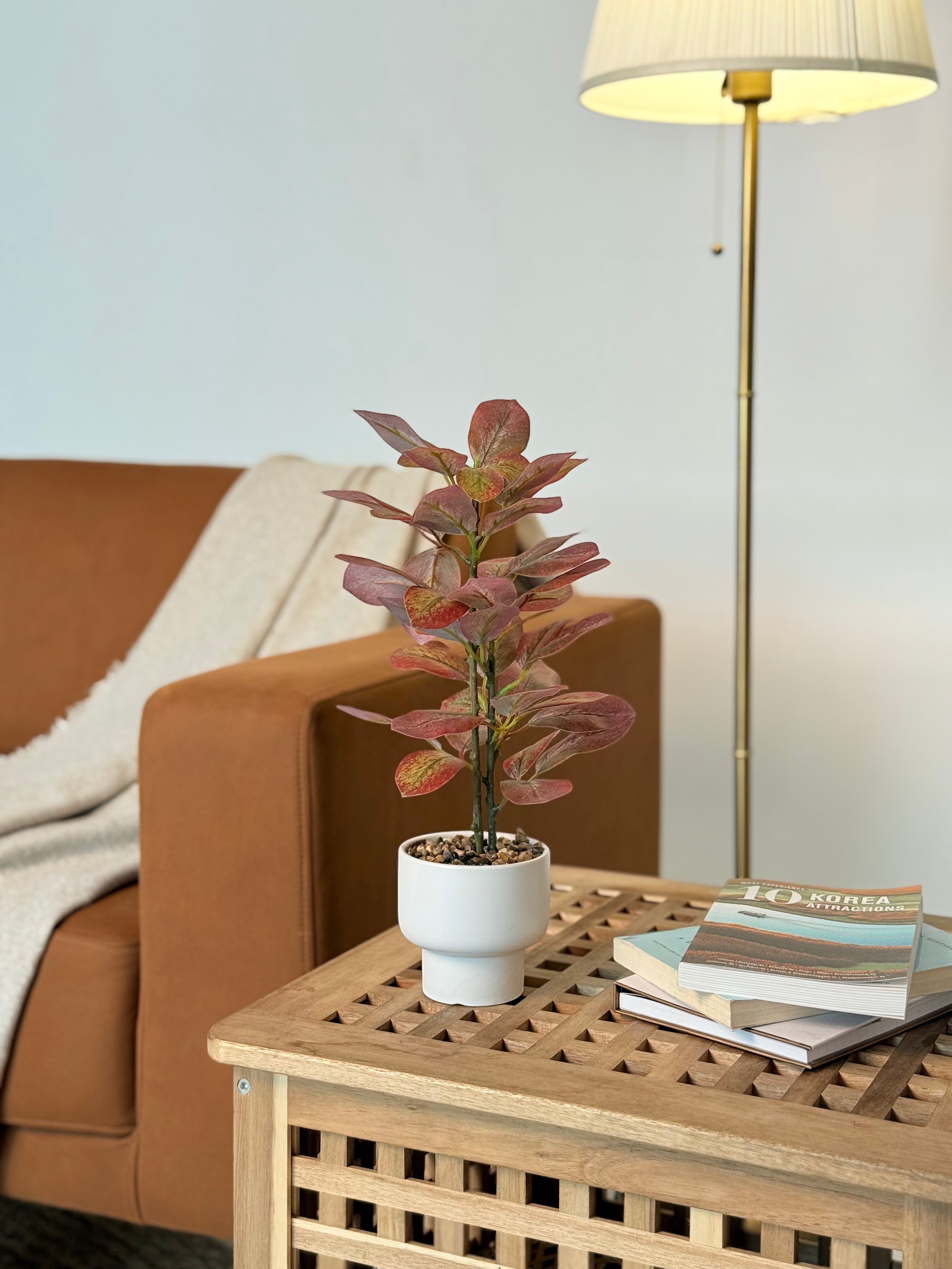 High Objects Artificial Autumn Blaze Ficus Plant with red and green leaves in a white ceramic pot on a wooden table.