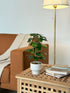 High Objects Artificial Green Rubber Leaf Plant in a white ceramic pot, featuring broad, deep-green leaves and realistic veining.