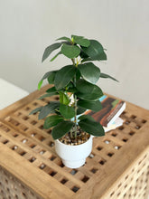 High Objects Artificial Green Rubber Leaf Plant in a white ceramic pot, featuring broad, deep-green leaves with realistic veining.