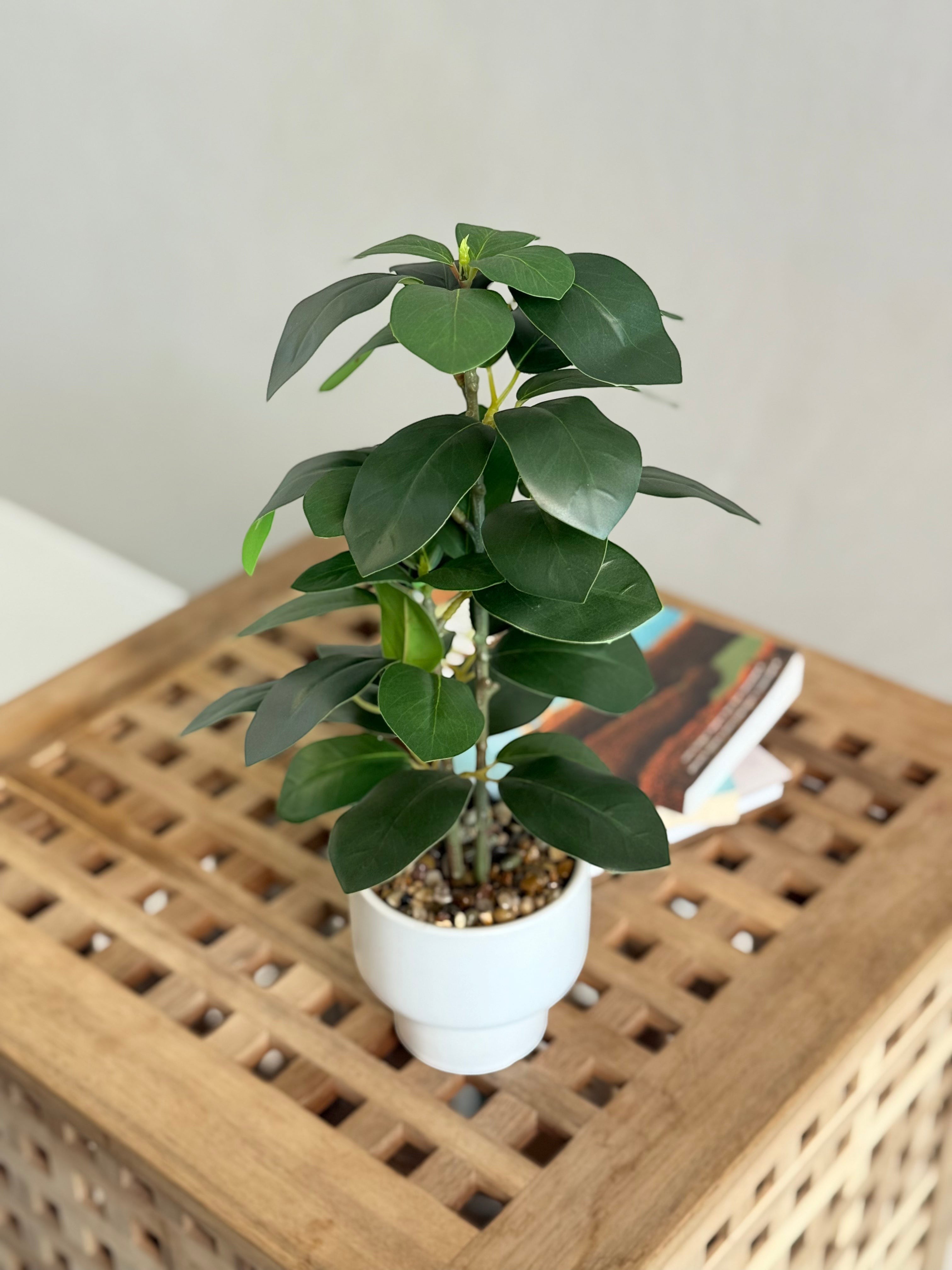 High Objects Artificial Green Rubber Leaf Plant in a white ceramic pot, featuring broad, deep-green leaves with realistic veining.