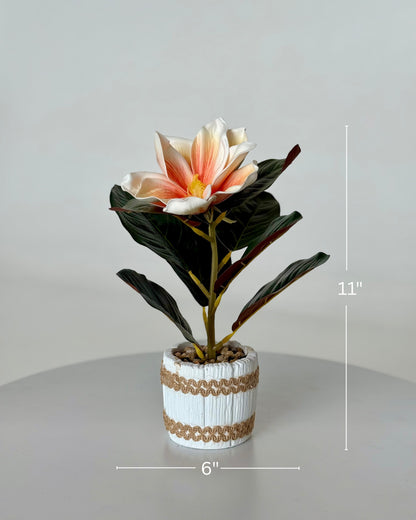 High Objects artificial lily plant with peach and white bloom, dark green leaves, in a white striped ceramic pot with pebbles. 11" H x 6" W.