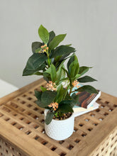 High Objects Artificial Orange Bloom Camellia Plant with green leaves in a white honeycomb pot.