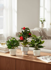 High Objects Artificial Plant Trio: Dracaena, Camellia with red blooms, and Jasmine with white blooms in white pots.
