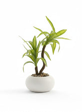 High Objects artificial plant with variegated green and yellow leaves in a white ceramic pot with pebbles.