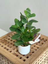 High Objects Artificial Mini Rubber Leaf Plant in a white honeycomb ceramic pot with lush green leaves.