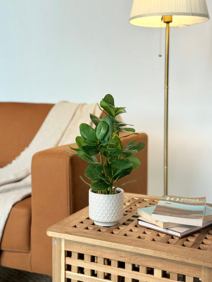 High Objects Artificial Mini Rubber Leaf Plant in a white honeycomb ceramic pot, lush green leaves, perfect for desks and shelves.