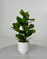 High Objects artificial mini rubber leaf plant in a white honeycomb ceramic pot, 15 inches tall.