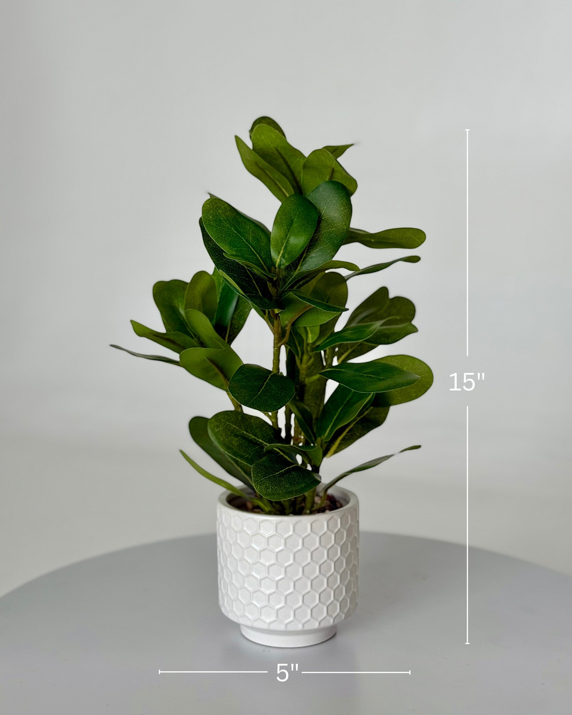 High Objects artificial mini rubber leaf plant in a white honeycomb ceramic pot, 15 inches tall.