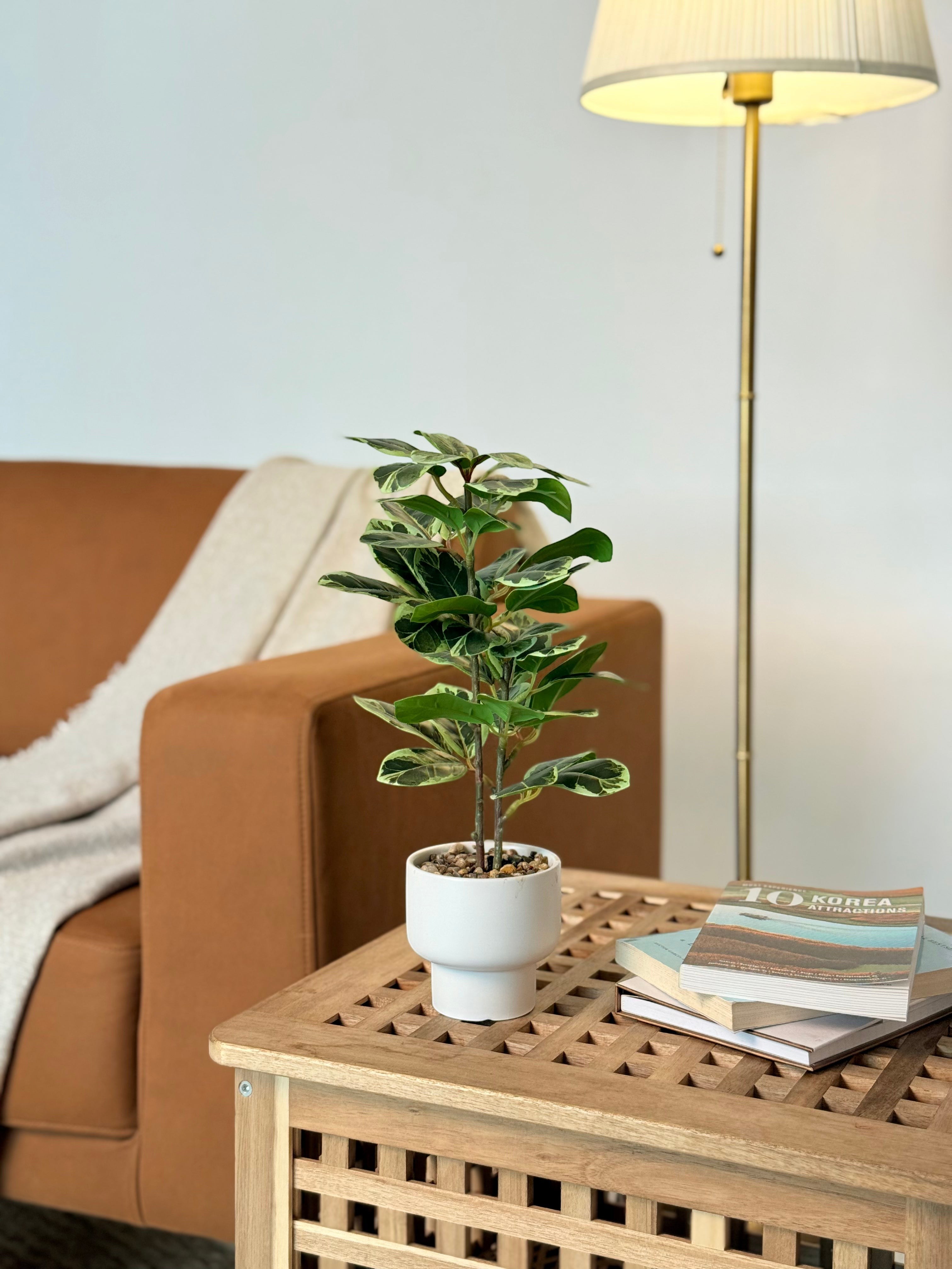 High Objects Artificial Two-Tone Rubber Plant with variegated green and yellow leaves in a white ceramic pot.
