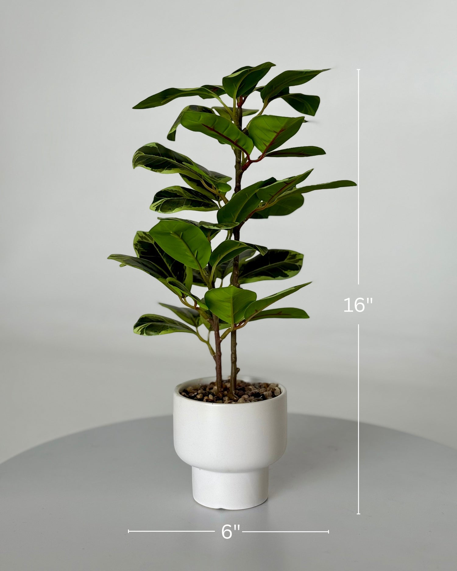 High Objects Artificial Two-Tone Rubber Plant with variegated green and yellow-edged leaves in a white ceramic planter.