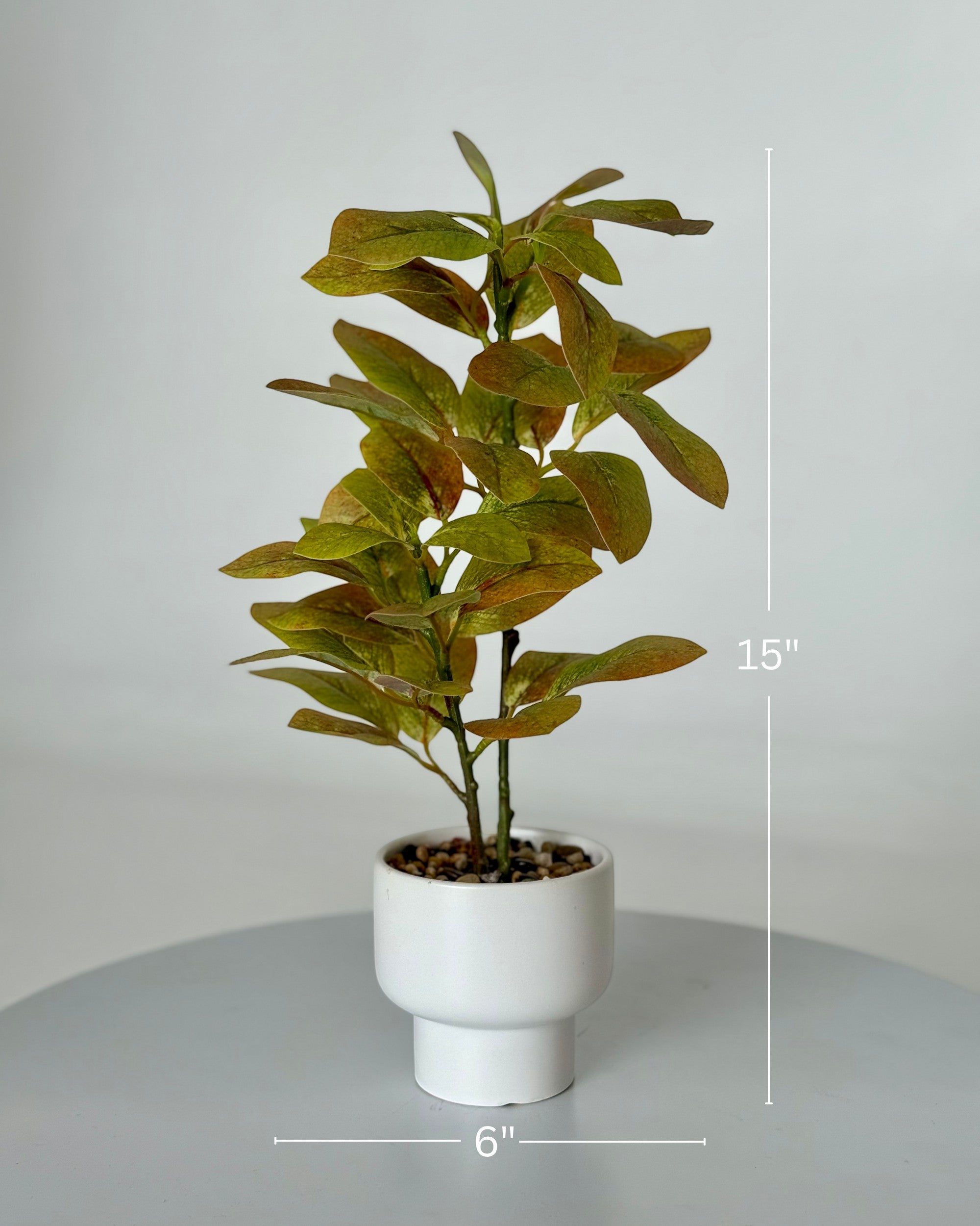 High Objects Artificial Variegated Rubber Plant with green, yellow, and red leaves in a white ceramic planter.