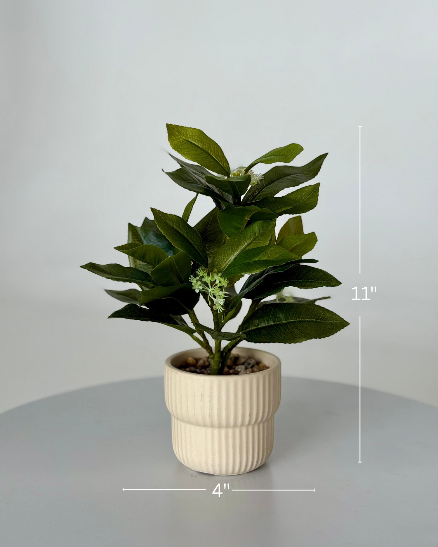 High Objects Artificial White Jasmine Bloom Plant in a cream ribbed ceramic pot, 11" tall, with green foliage and tiny white flowers.
