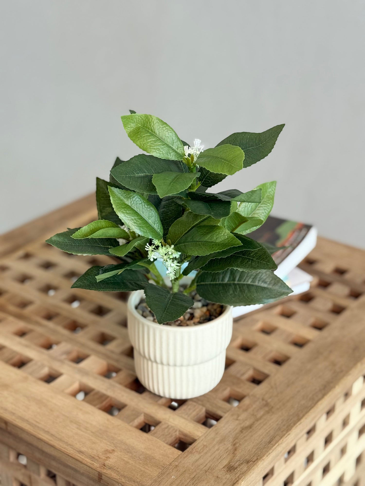 High Objects Artificial White Jasmine Bloom Plant with green leaves in a cream ribbed ceramic pot.