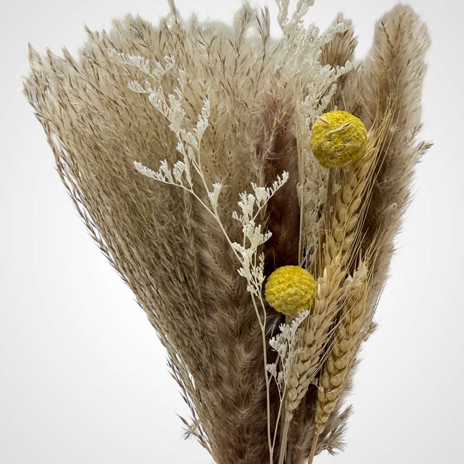 High Objects Botanical Golden Prairie dried flower arrangement with pampas grass, wheat, dried foliage, and yellow billy buttons.