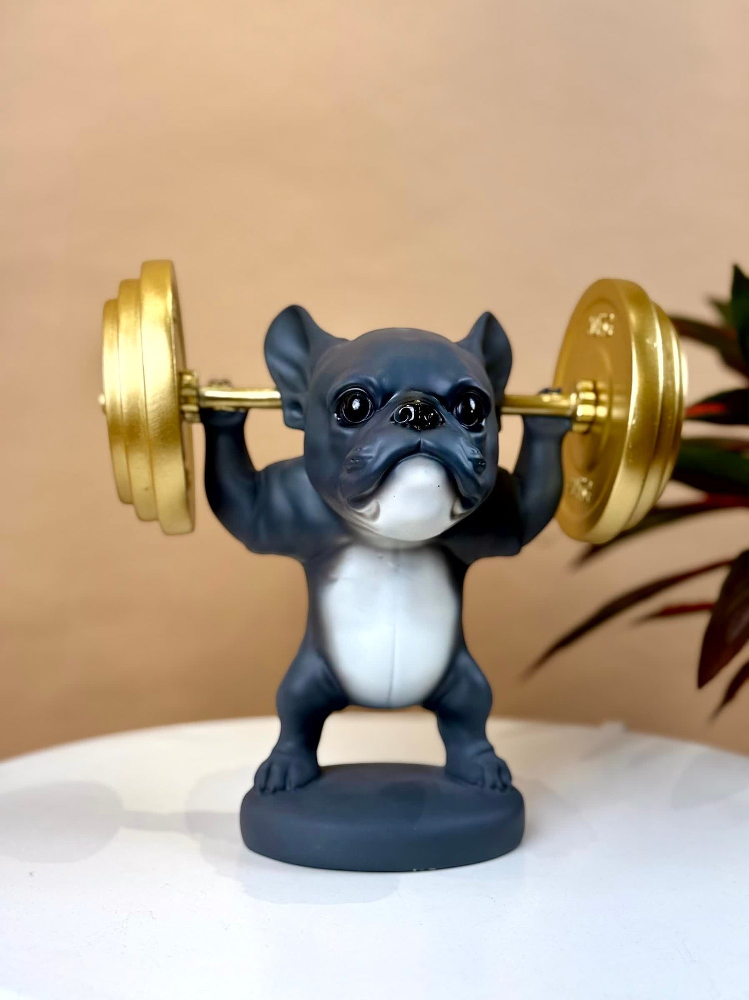High Objects matte black polyresin bulldog lifting gold barbell showpiece with white belly and expressive face.
