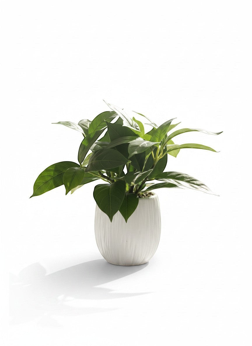 High Objects decorative potted plant with textured white pot, a lush, maintenance-free greenery for home decor.