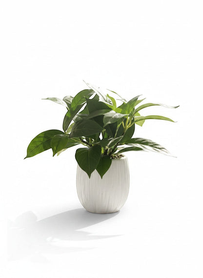 High Objects decorative potted plant with textured white pot, a lush, maintenance-free greenery for home decor.