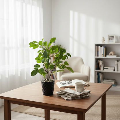 High Objects faux ficus plant in a black geometric pot with green leaves, on a wooden table with a book and glasses.