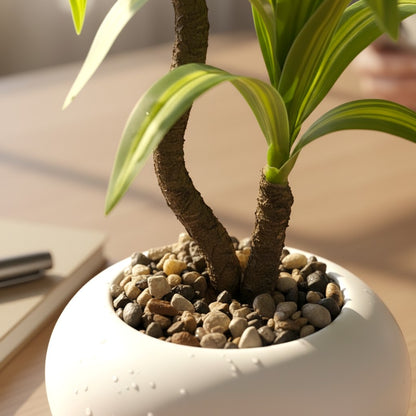 High Objects white ceramic pot with a small green and yellow striped plant, on a wooden desk with a notebook and pen.