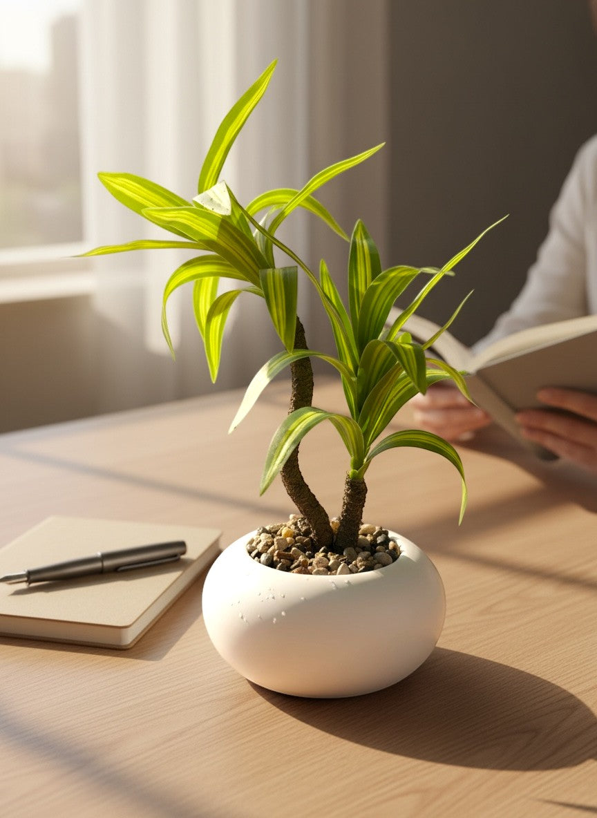 High Objects white ceramic pot with a small green and yellow striped plant, on a wooden desk with a notebook and pen.