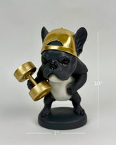 High Objects Sport Bulldog showpiece in black and gold, lifting a dumbbell, wearing a backward cap.