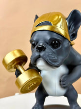 High Objects Sport Bulldog showpiece in matte black and grey, lifting a gold dumbbell and wearing a gold backward cap.