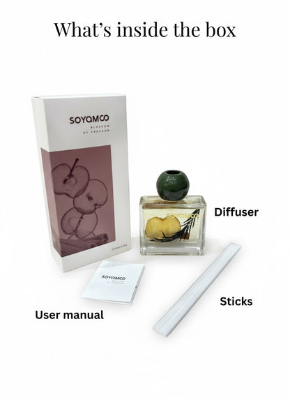 High Objects elegant square glass aroma reed diffuser with cloves scent, 110ML, includes user manual and sticks.