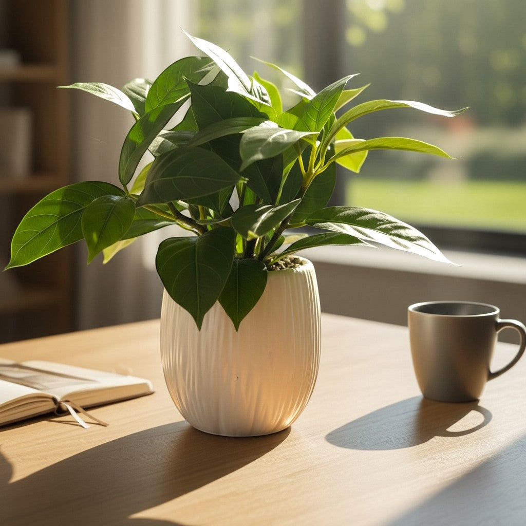 High Objects white ribbed ceramic planter with lush green plant on a wooden table with a mug and open book.