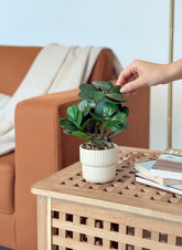 High Objects white ribbed ceramic vase with artificial ficus plant and pebbles on a wooden table.