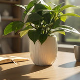 High Objects white ribbed ceramic planter with a lush green plant, next to a dark grey mug and an open notebook on a wooden table.