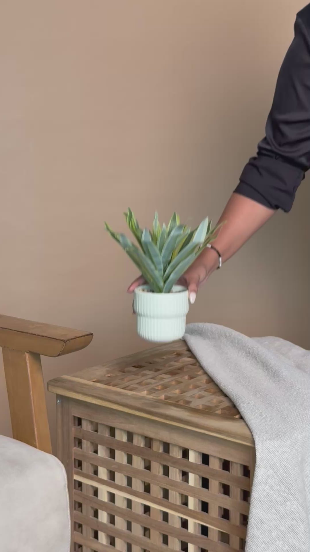 Artificial Dracaena Lemon Lime Plant