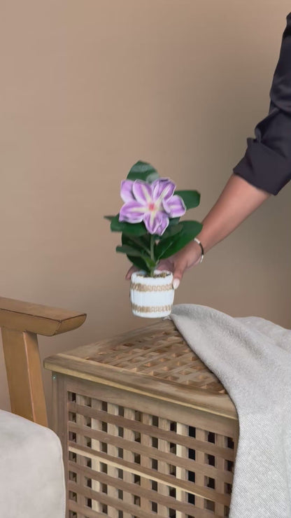 Artificial Lily Plant