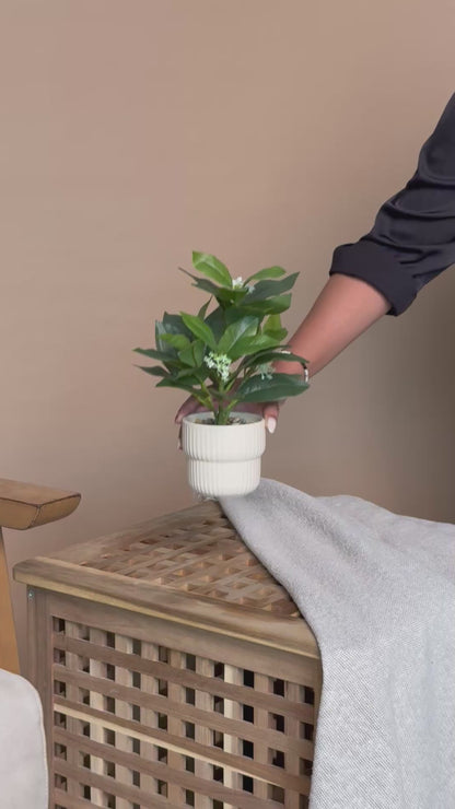 Artificial White Jasmine Bloom Plant