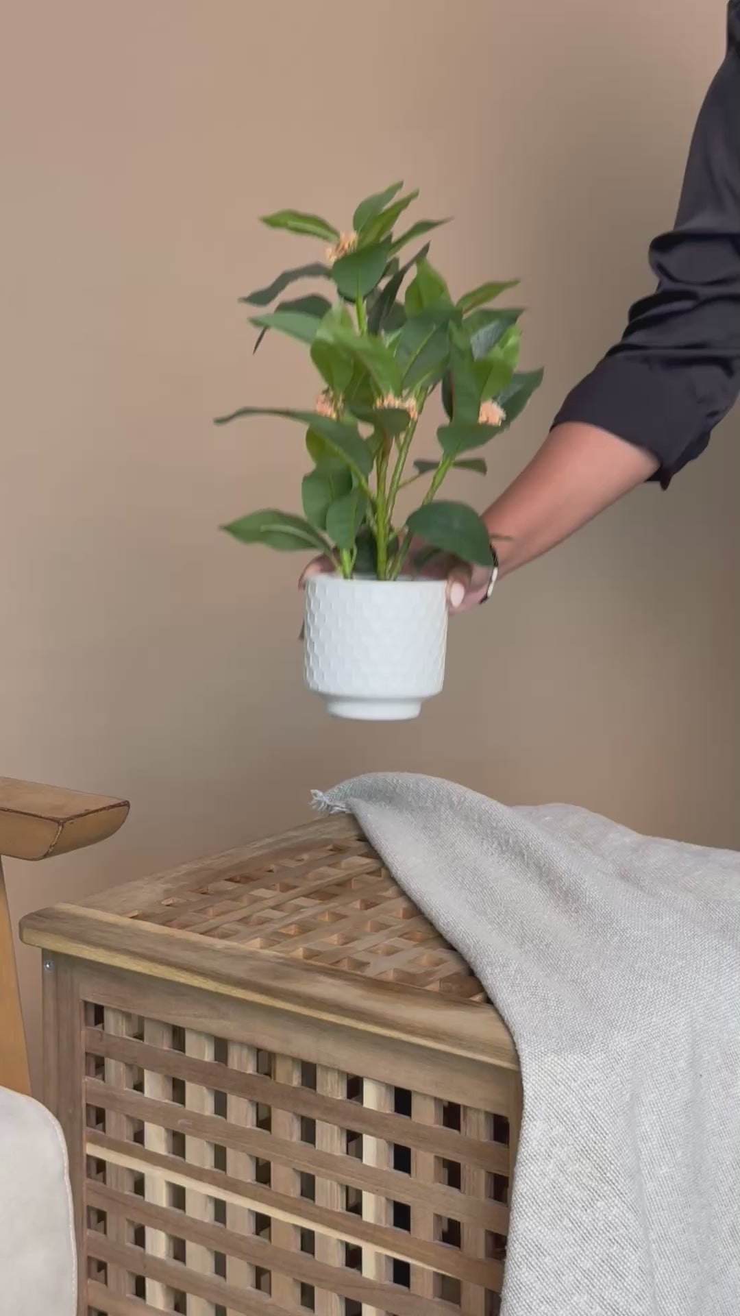 Artificial Orange Bloom Camellia Plant