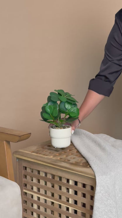 Artificial Ficus Lyrata Green Leaf Plant