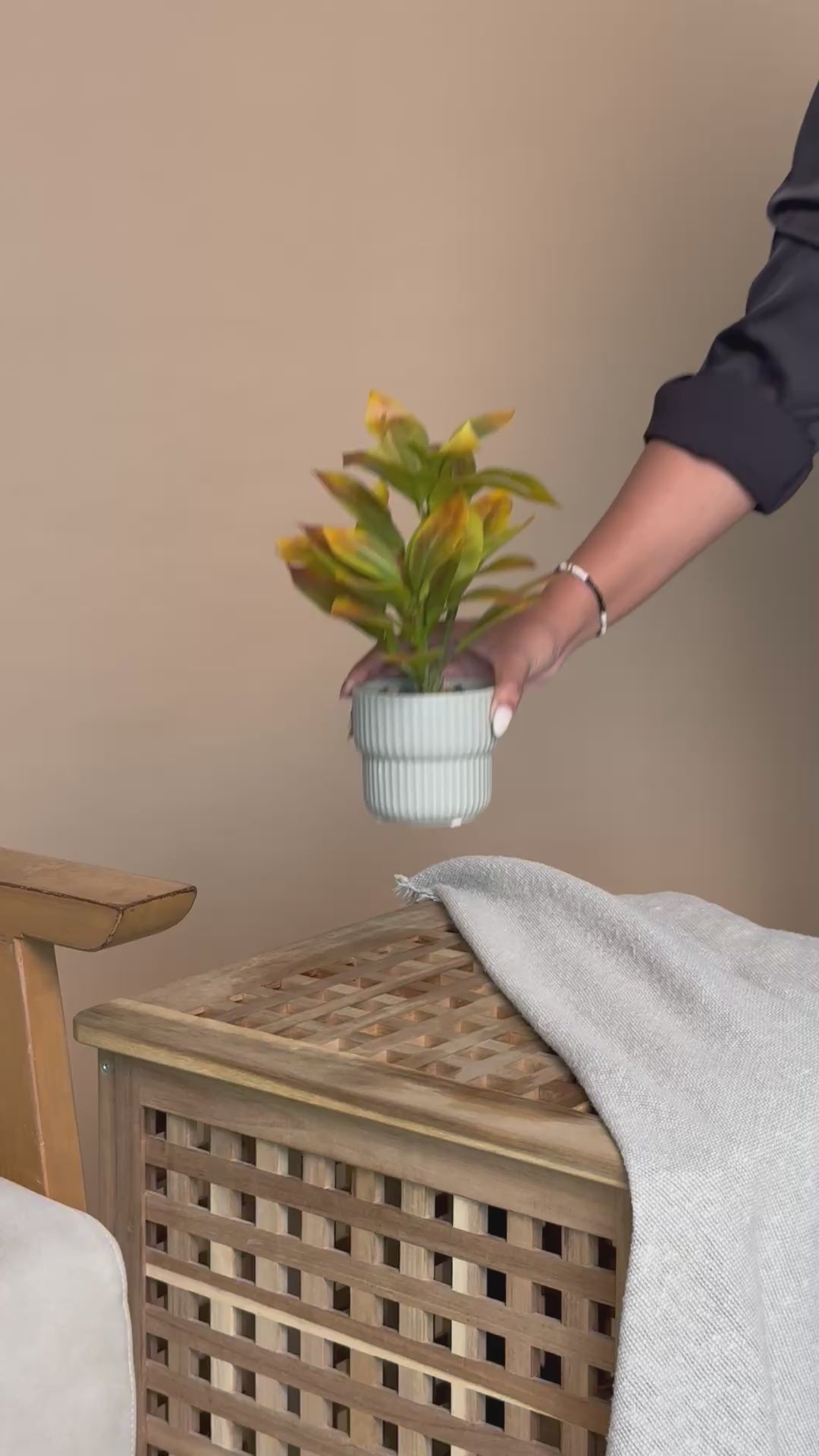 Artificial Ficus Lyrata Sunset Leaf Plant